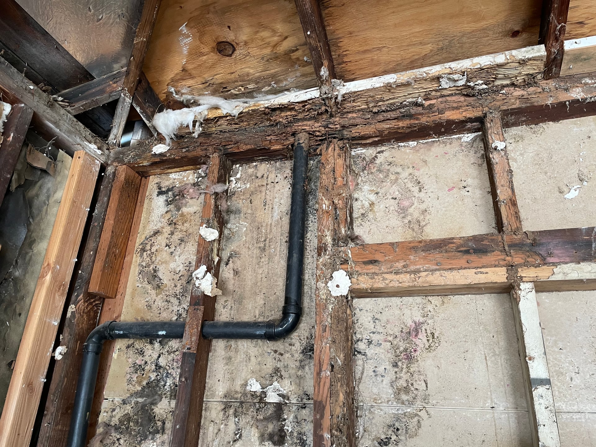 Just passed final inspection, now punch list.